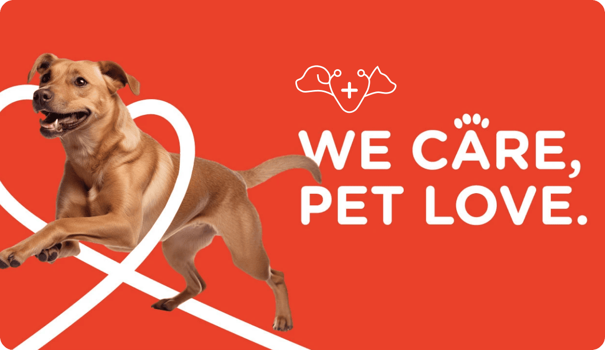 Diseño gráfico de la campaña We Care Pet Love con un perro
