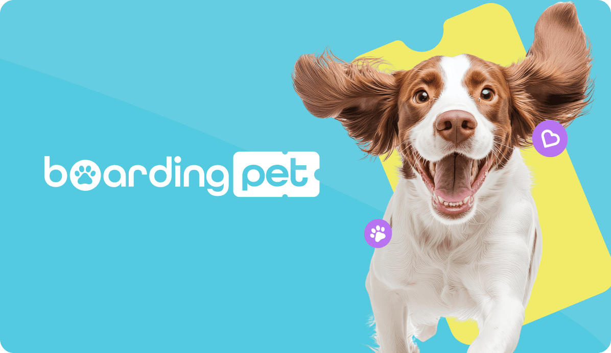 Diseño de identidad de marca de Boardingpet con la ilustración de un perro jugando